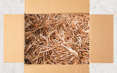 Trucioli di cartone